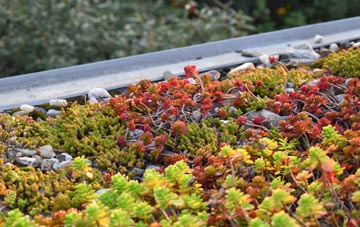 the cost of Broughton Green green roof installation