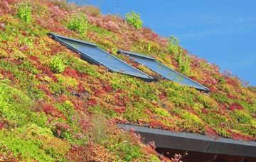 Broughton Green living roof systems